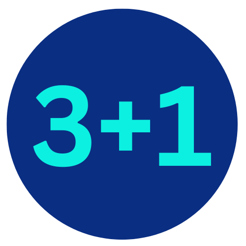 Professional Development 3+1